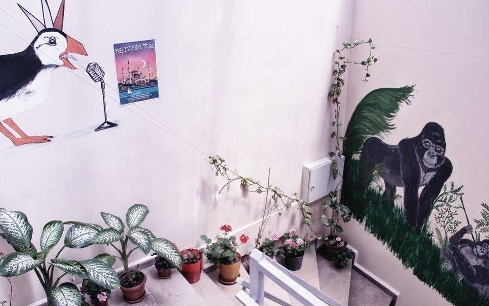Puffin Boutique - Istanbul Hostel Ngoại thất bức ảnh